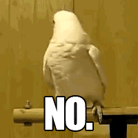 640 (1).gif 640 (1).gif