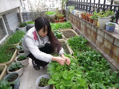 1652923395151783.png t01bad6c659123a27a7.png