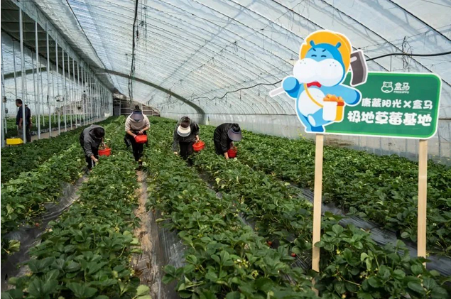 1660906276751669.png image.png